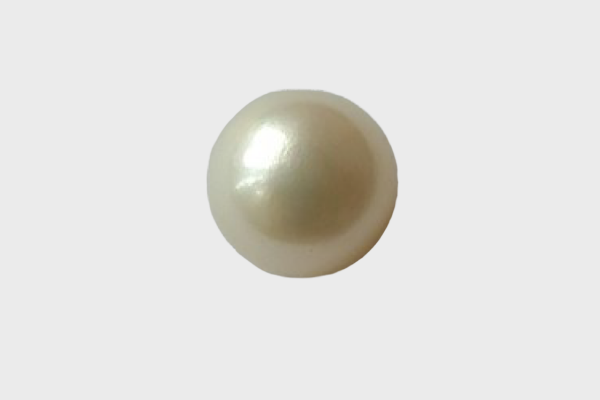 Untitled design (97)